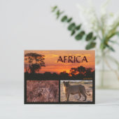 Activiteiten in de omgeving van Africa Sunset & Bi Briefkaart (Staand voorkant)