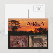 Activiteiten in de omgeving van Africa Sunset & Bi Briefkaart (Voorkant / Achterkant)