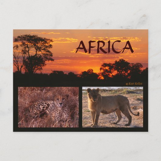 Activiteiten in de omgeving van Africa Sunset & Bi Briefkaart (Voorkant)