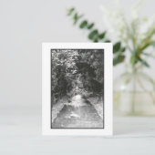 Activiteiten in de omgeving van 'After the Rain' F Briefkaart (Staand voorkant)