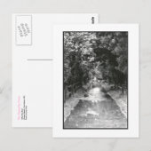 Activiteiten in de omgeving van 'After the Rain' F Briefkaart (Voorkant / Achterkant)