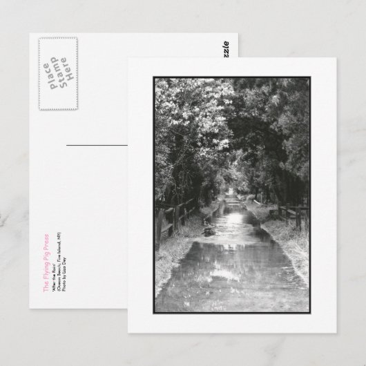 Activiteiten in de omgeving van 'After the Rain' F Briefkaart (Voorkant / Achterkant)