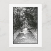 Activiteiten in de omgeving van 'After the Rain' F Briefkaart (Voorkant)