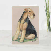 Activiteiten in de omgeving van Airedale Dog Art W