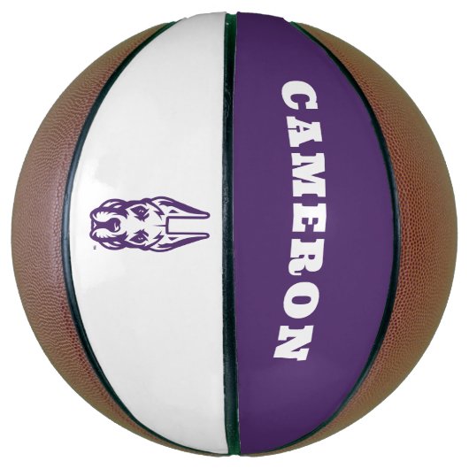 Activiteiten in de omgeving van Albany Great Dane  Basketbal (Verticaal)