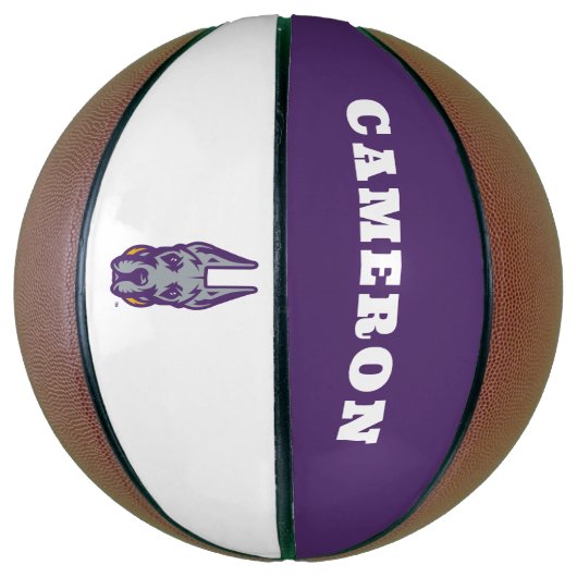 Activiteiten in de omgeving van Albany Great Dane  Basketbal (Verticaal)