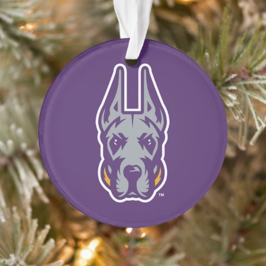 Activiteiten in de omgeving van Albany Great Dane  Ornament (Boom)