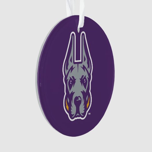 Activiteiten in de omgeving van Albany Great Dane  Ornament (voorkant)