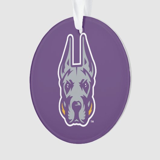 Activiteiten in de omgeving van Albany Great Dane  Ornament (voorkant)
