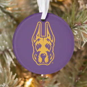 Activiteiten in de omgeving van Albany Great Dane  Ornament