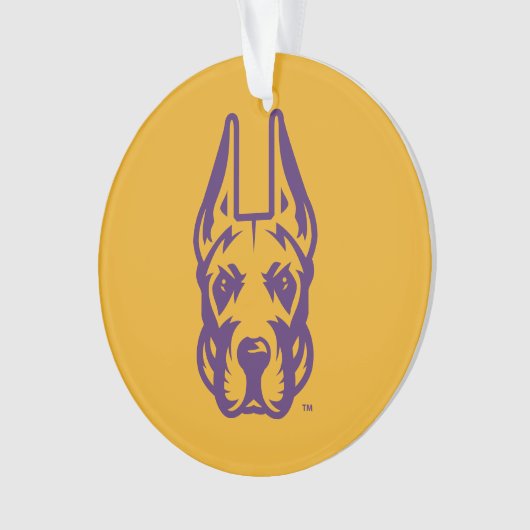 Activiteiten in de omgeving van Albany Great Dane  Ornament (voorkant)