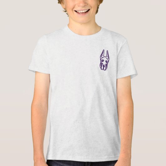 Activiteiten in de omgeving van Albany Great Dane Tri-Blend Shirt (Voorkant)