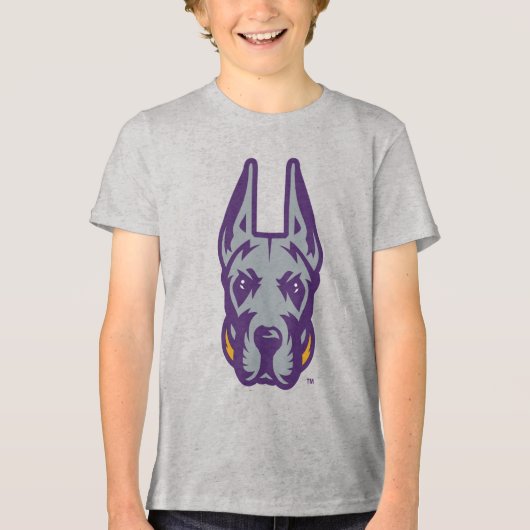 Activiteiten in de omgeving van Albany Great Dane Tri-Blend Shirt (Voorkant)
