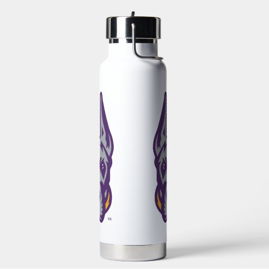 Activiteiten in de omgeving van Albany Great Dane  Waterfles (Links)