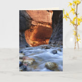 Activiteiten in de omgeving van All Occasion, The  Kaart (Gele Bloem)