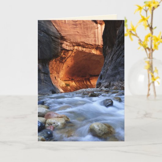 Activiteiten in de omgeving van All Occasion, The Kaart (Gele Bloem)