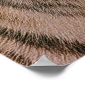 Activiteiten in de omgeving van Amoer Tiger and Ju Poster (Hoek)