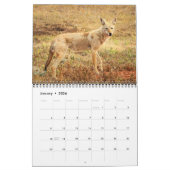 Activiteiten in de omgeving van Animals of Custer  Kalender (Jan 2026)