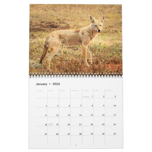 Activiteiten in de omgeving van Animals of Custer  Kalender (Jan 2026)