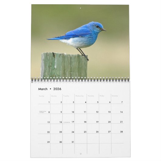 Activiteiten in de omgeving van Animals of Custer Kalender (Mar 2026)