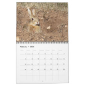 Activiteiten in de omgeving van Animals of Custer  Kalender (Feb 2026)