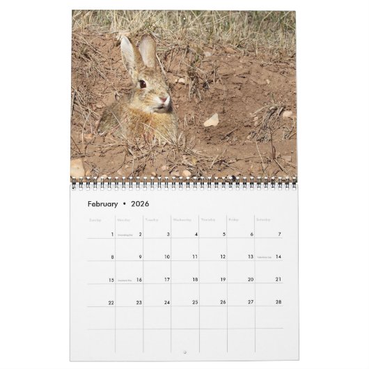 Activiteiten in de omgeving van Animals of Custer  Kalender (Feb 2026)