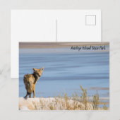 Activiteiten in de omgeving van Antelope Island St Briefkaart (Voorkant / Achterkant)