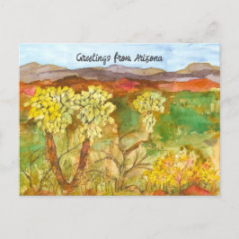 Activiteiten in de omgeving van Arizona Cactus Sou Briefkaart