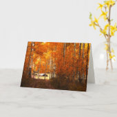 Activiteiten in de omgeving van Aspen Kolob Utah B Kaart (Gele Bloem)