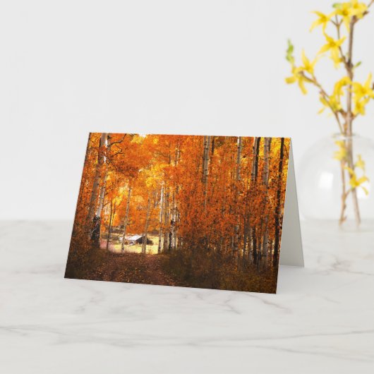 Activiteiten in de omgeving van Aspen Kolob Utah B Kaart (Gele Bloem)