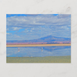 Activiteiten in de omgeving van Atacama Desert, Fl Briefkaart