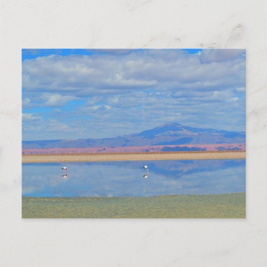 Activiteiten in de omgeving van Atacama Desert, Fl Briefkaart (Voorkant)