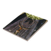 Activiteiten in de omgeving van Atlas & St. Patric Tegeltje (Zijkant)