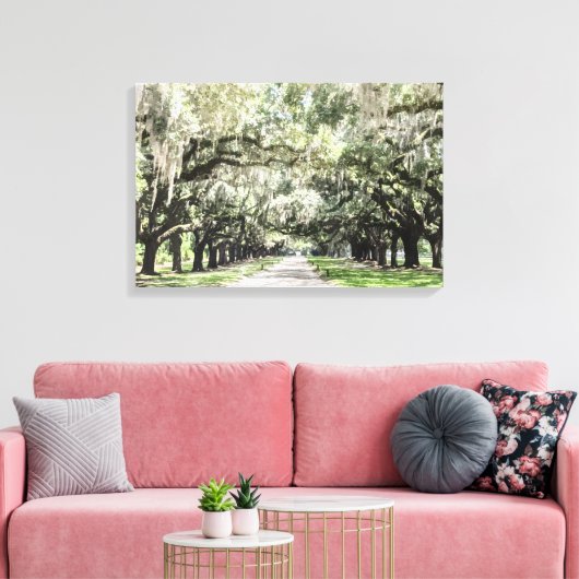 Activiteiten in de omgeving van Avenue of Oaks, Bo Canvas Afdruk (Insitu (Woonkamer))