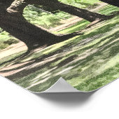 Activiteiten in de omgeving van Avenue of Oaks, Bo Poster (Hoek)