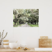 Activiteiten in de omgeving van Avenue of Oaks, Bo Poster (Keuken)