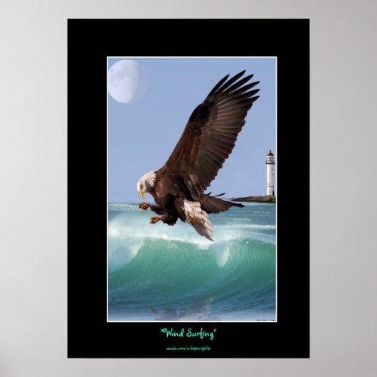 Activiteiten in de omgeving van Bald Eagle, Waves  Poster (Voorkant)
