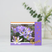 Activiteiten in de omgeving van Bee Happy Spring B Briefkaart (Staand voorkant)