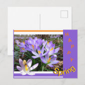 Activiteiten in de omgeving van Bee Happy Spring B Briefkaart (Voorkant / Achterkant)