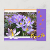 Activiteiten in de omgeving van Bee Happy Spring B Briefkaart (Voorkant)