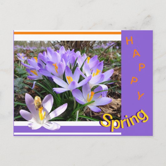 Activiteiten in de omgeving van Bee Happy Spring B Briefkaart (Voorkant)
