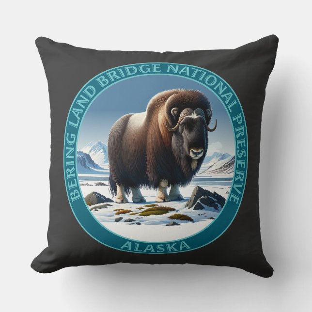 Activiteiten in de omgeving van Bering Land Bridge Kussen (Voorkant)