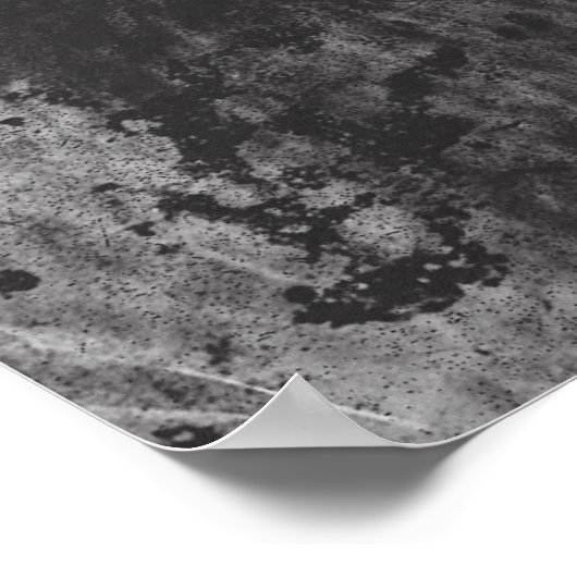 Activiteiten in de omgeving van Bigfoot & Teddy Ro Poster (Hoek)