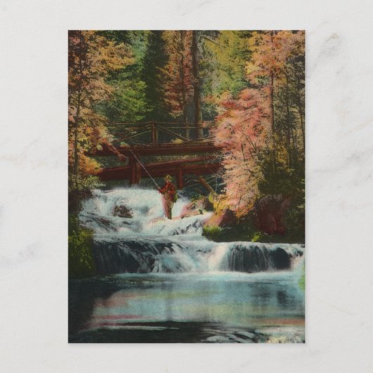 Activiteiten in de omgeving van Black Hills Fisher Briefkaart (Voorkant)