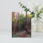 Activiteiten in de omgeving van Black Rock Trails, Briefkaart (Staand voorkant)