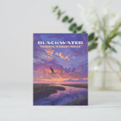 Activiteiten in de omgeving van Blackwater Nationa Briefkaart (Staand voorkant)