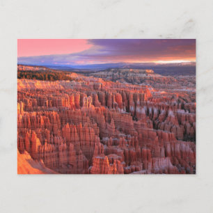 Activiteiten in de omgeving van Bryce Canyon Natio Briefkaart