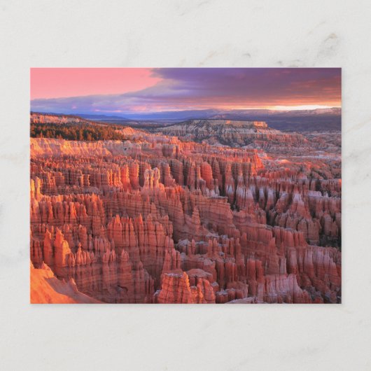Activiteiten in de omgeving van Bryce Canyon Natio Briefkaart (Voorkant)