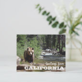 Activiteiten in de omgeving van California Grizzly Briefkaart (Staand voorkant)