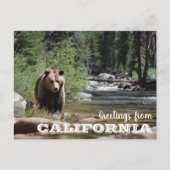 Activiteiten in de omgeving van California Grizzly Briefkaart (Voorkant)